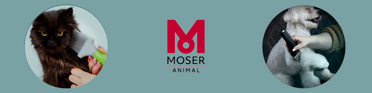Moser Animal Pet
