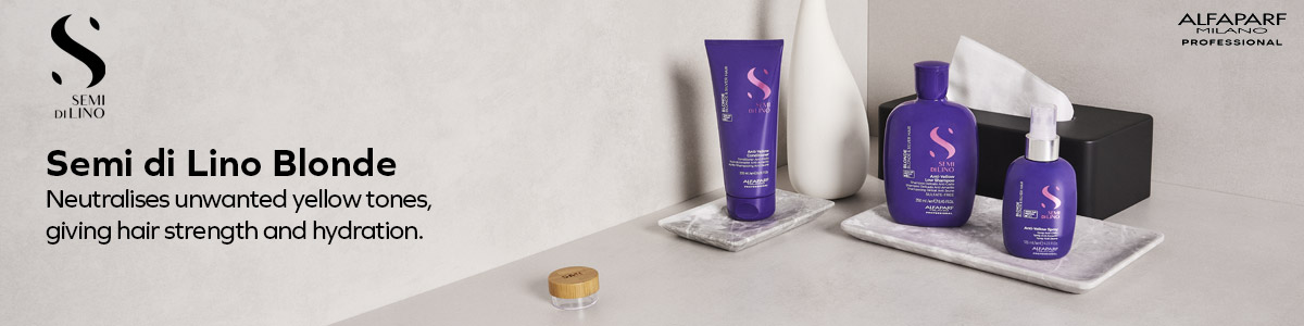 Blonde - Blonde and Silver Hair