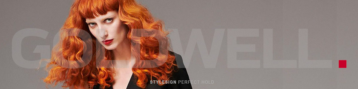 Stylesign Perfect Hold - Fixers and Lacquers