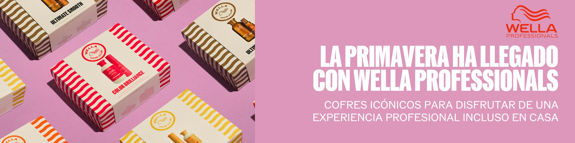 Cajas de regalo