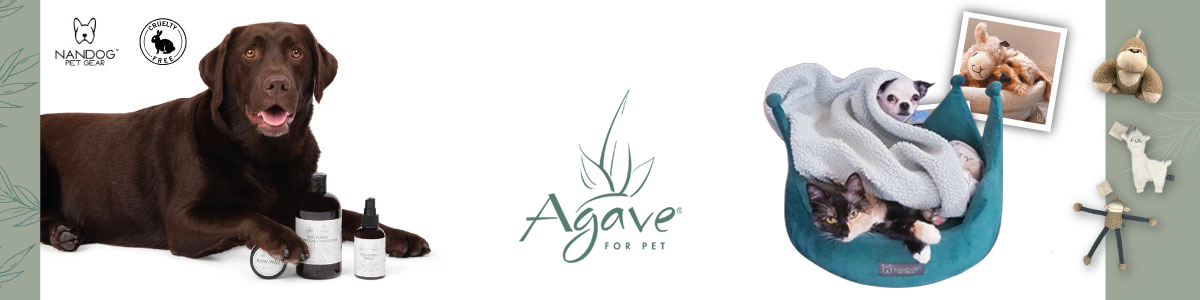 Agave Pet